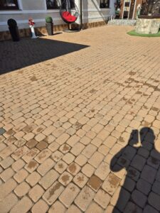 459798395_480853991603211_5299997737116456922_n