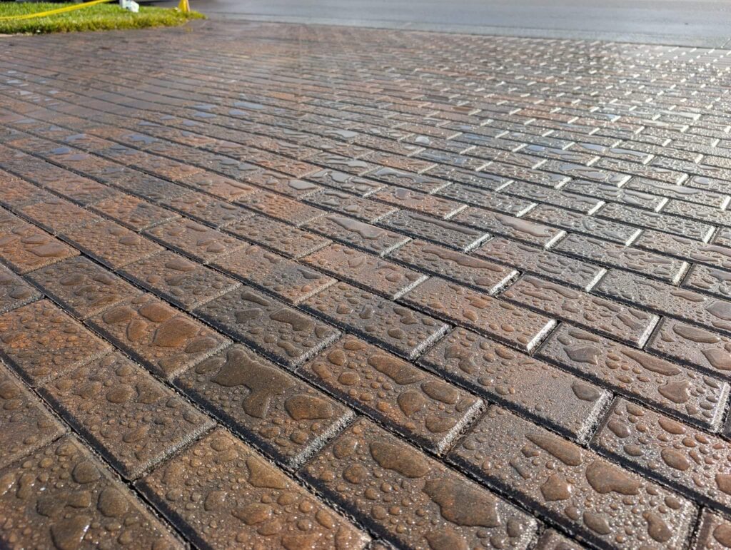 Imagine WhatsApp 2025 01 21 la 16.43.53 6a89d7f6