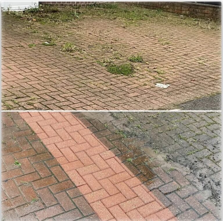 Imagine WhatsApp 2025-01-22 la 19.50.59_cb36b5f6